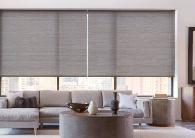 Roller Shades Living Room